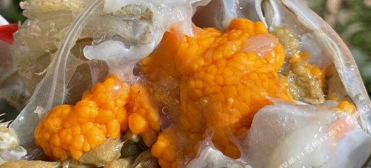 北海涠洲岛三简别苑图片