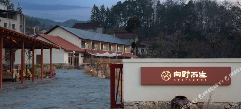 向野而生(安庆花亭湖店)图片