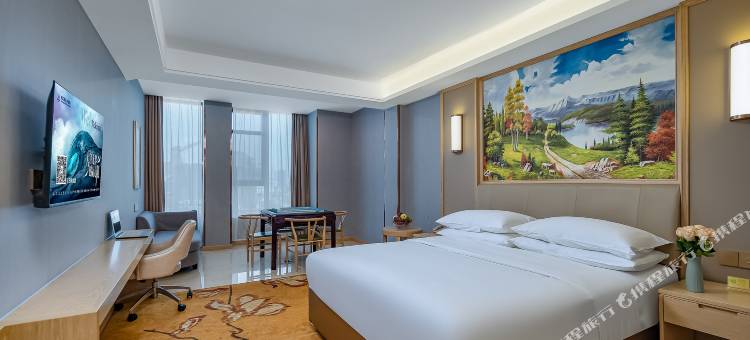 维也纳国际酒店(南浔古镇正一广场店)图片