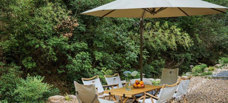 安吉无尘茗宿图片