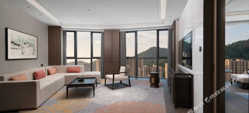 金华磐安宝龙艺珺酒店图片