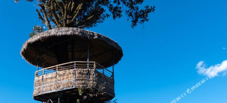 耕读草庐·玉龙雪山观景度假民宿图片