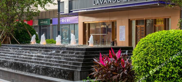 麗枫酒店(肇庆四会高新区大旺轻轨站店)图片