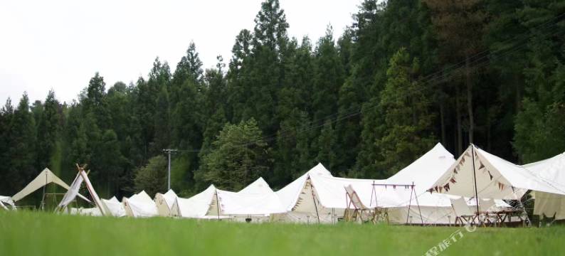 Theshire夏尔森林露营基地图片