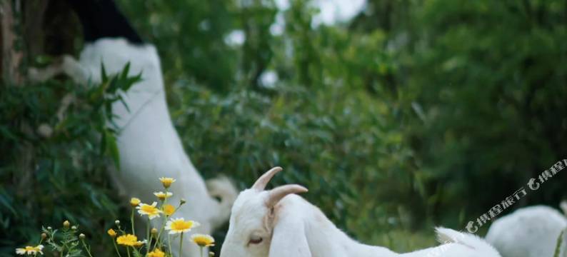 宣城听三田舍民宿图片