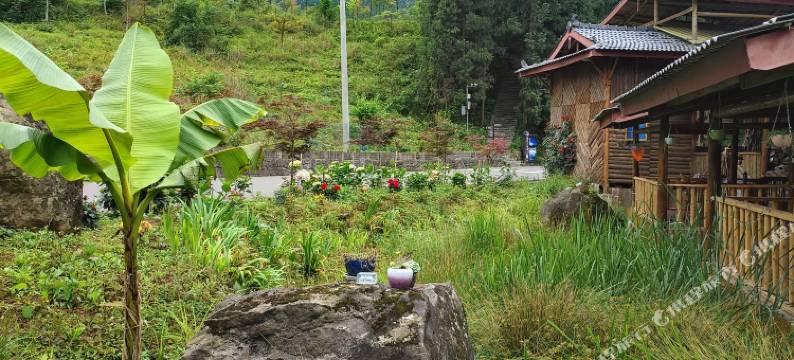 邛崃清荷山房民宿图片