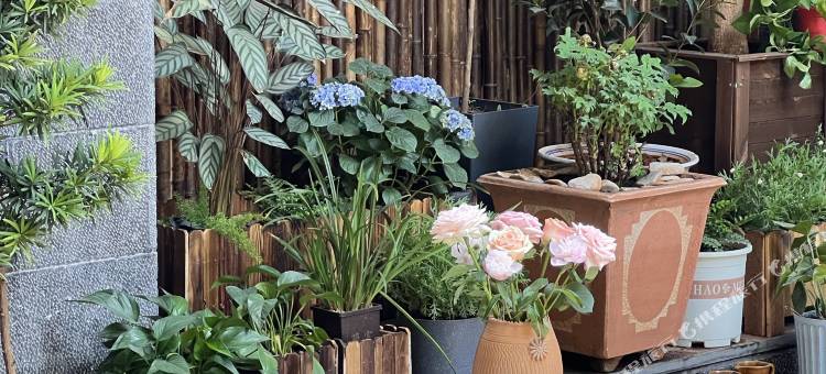 大理双廊润严客栈图片