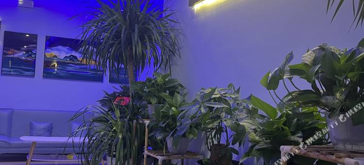 盐亭雲来自助客栈图片