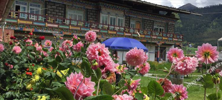 林芝·阿佳其美藏家别院图片