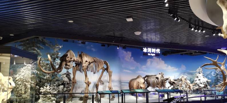 玉溪江川金海岸酒店图片