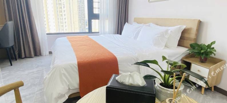 广州未来公寓(中新广州知识城旺村地铁站店)图片