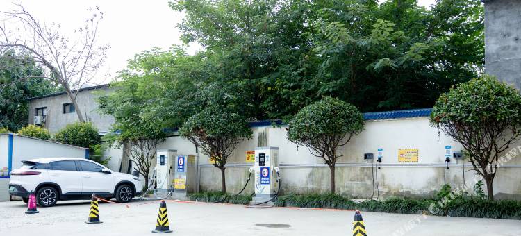 未来国际酒店(商丘柘城未来大道店)图片