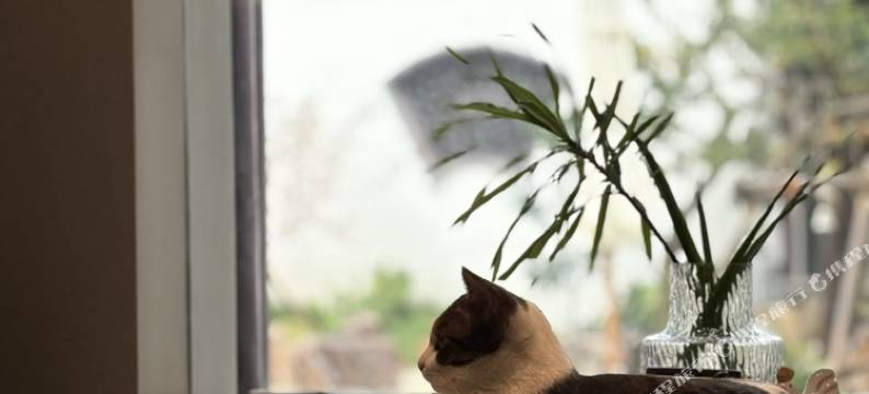 M·漫画蜗牛·山禾悦·宋式禅意风设计师美墅民宿(太湖东山景区店)图片