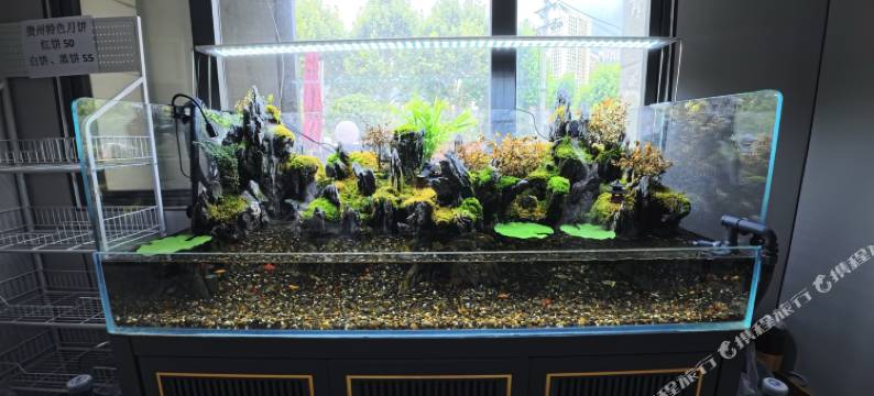 维尔斯酒店(贵阳北站新寨地铁口店)图片