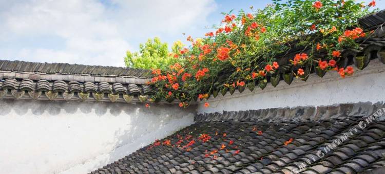 杭州汐糖民宿图片