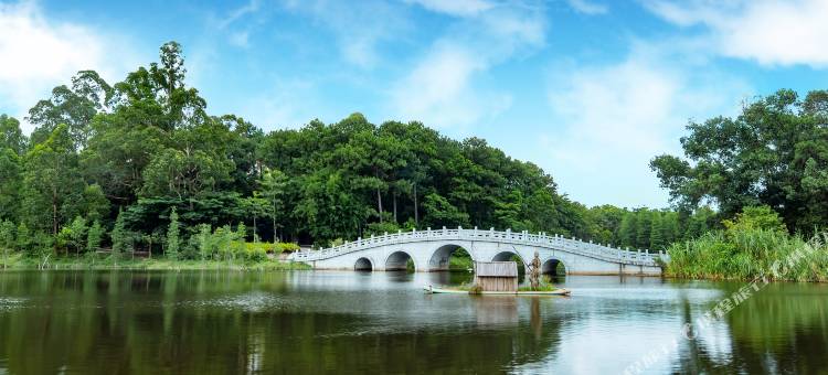 阳江金盾假日酒店(东汇城店)图片