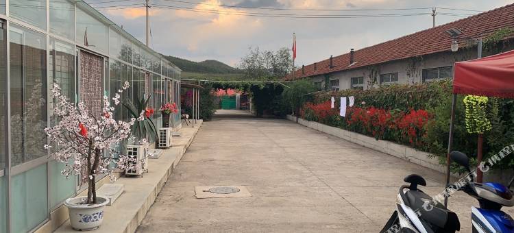 凤城舒美旅饭店图片
