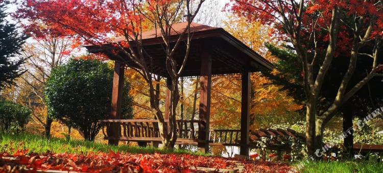 余姚四明山庄森林度假村图片