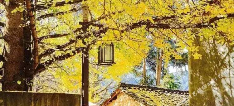 腾冲风景园客栈图片