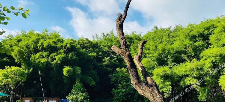广州美丽乡村石屋民宿图片