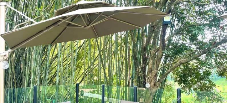 广州迳下别院图片