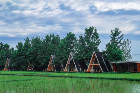 黄梅袁夫稻田农场预订价格,联系电话位置地址【携程酒店】