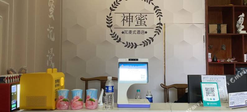 神蜜沉浸式酒店(无锡南长街南禅寺地铁站店)图片