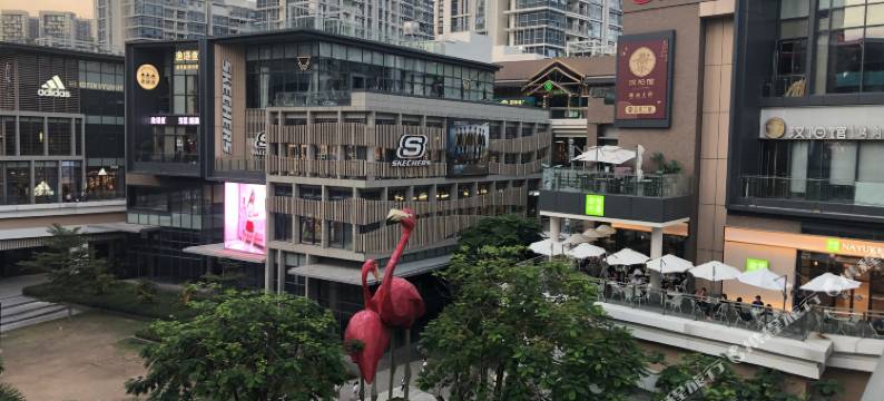 深圳蓝洋之梦青年旅舍图片