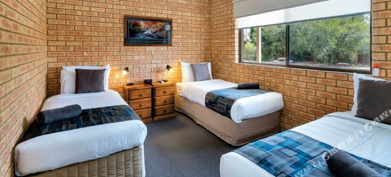 贝哥尼亚城市汽车旅馆(Begonia City Motor Inn)图片