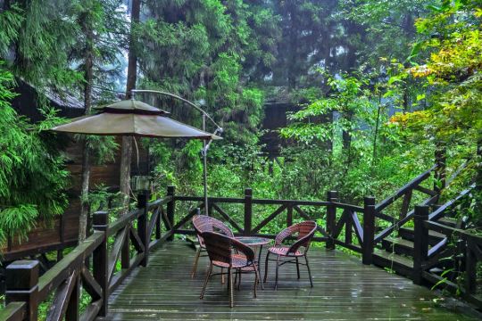 咸丰坪坝营森林酒店