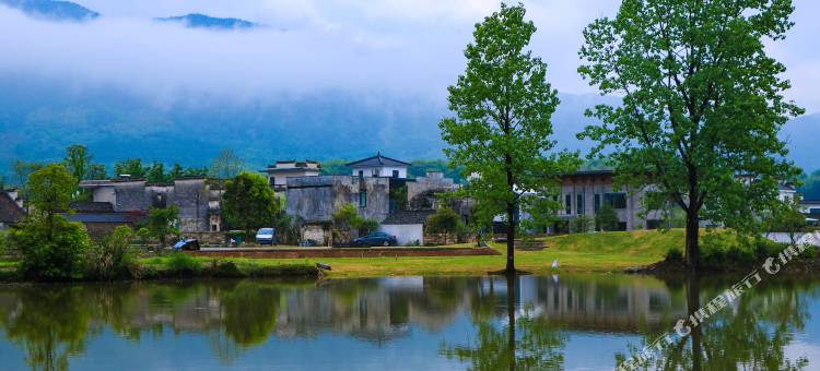 黄山澍德堂•黟县交叉小径的花园图片