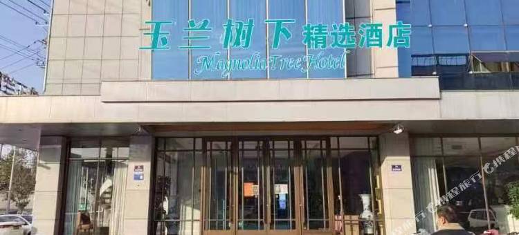 玉兰树下精选酒店图片