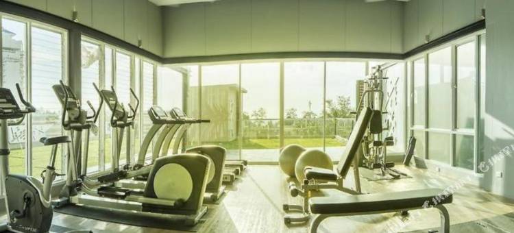 普吉岛疯猴子酒店(Mad Monkey Phuket)图片