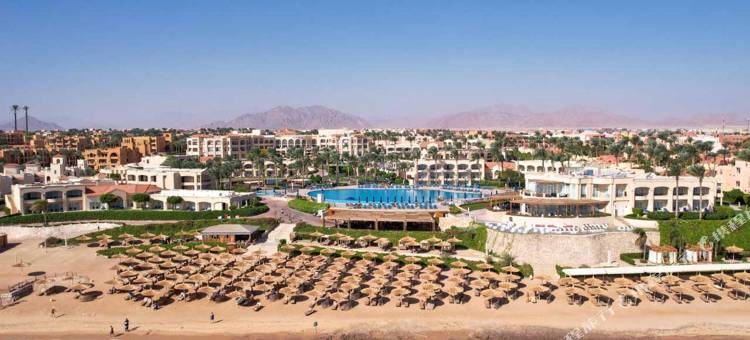 克利奥帕特拉豪华度假村沙姆 - 仅限16岁以上的成人(Cleopatra Luxury Resort Sharm - Adults Only)图片