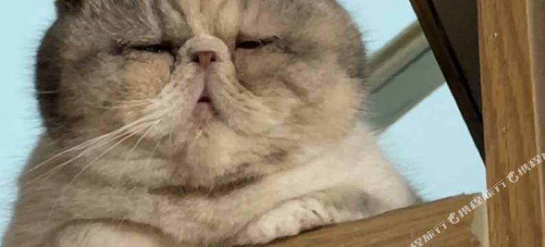 CITY·不二居客栈(苏州观前街平江路店)图片