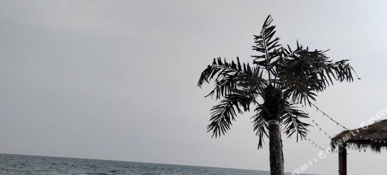 北戴河陈玉香家庭旅馆图片