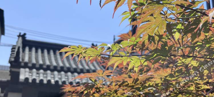 天津锦澜山舍民宿图片