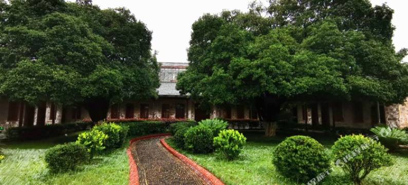 小布训练营图片