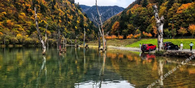 满初藏寨民宿图片