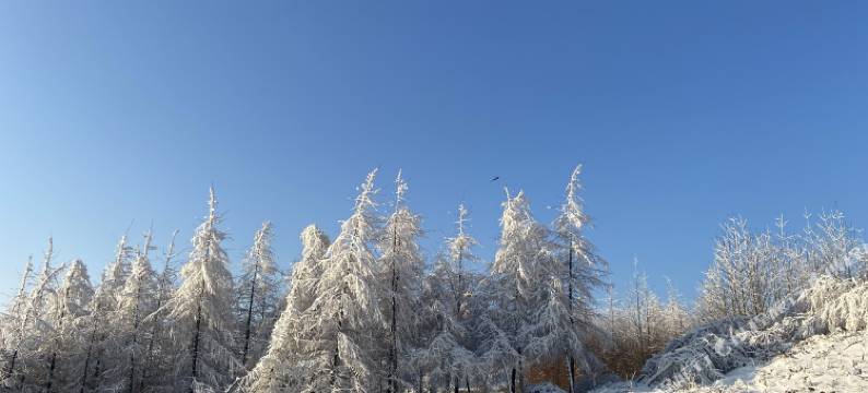 巴东冰雪小筑精品民宿(绿葱坡滑雪场店)图片