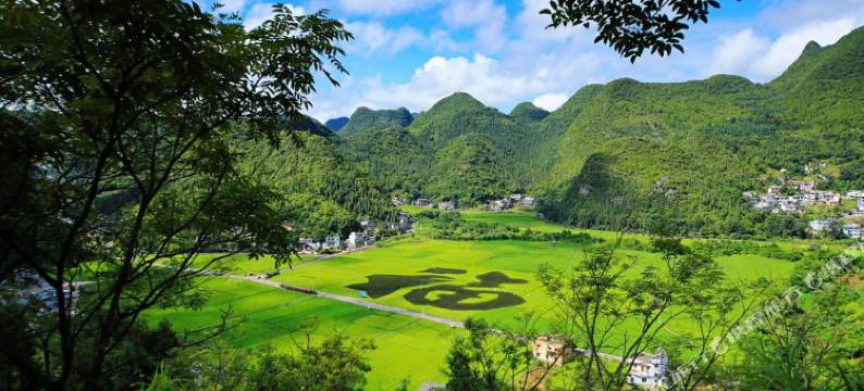 黔西南兴义万峰林榕宿Resort&Spa民宿图片