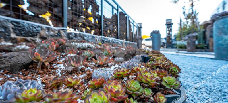 昆明三合仙龙温泉酒店(同仁医院店)图片