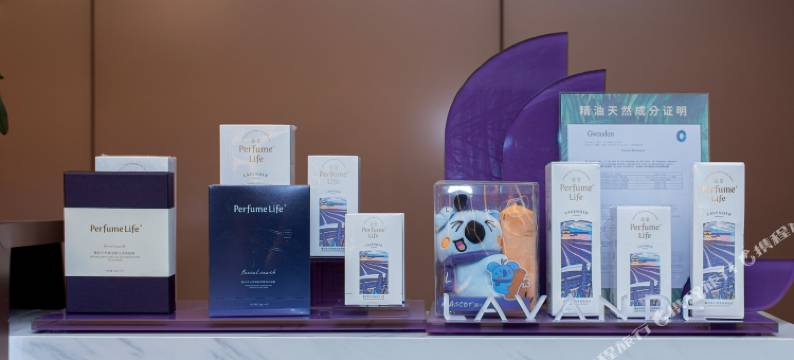 麗枫酒店(长沙理工大恰同学少年广场店)图片