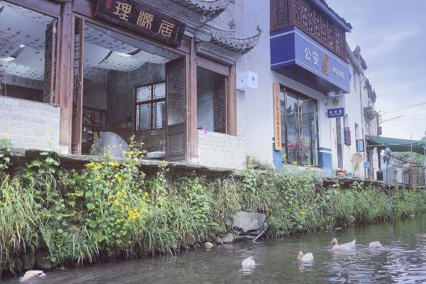 婺源理源居·摄影师艺术民宿预订价格,联系电话位置地址【携程酒店】