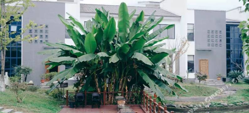 平利陌上岛度假山庄图片