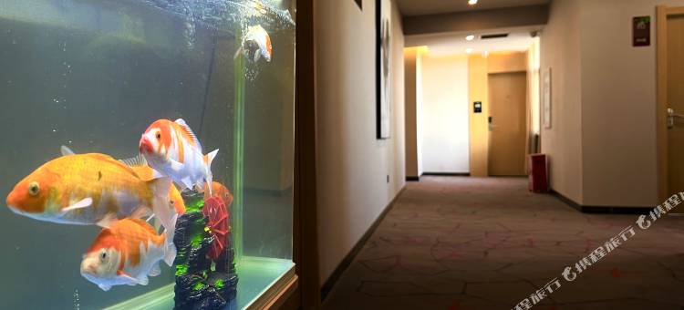 骏怡连锁酒店(玉田鸦鸿桥镇店)图片