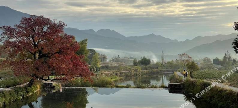 宏村卧溪谷民宿(卢村店)图片