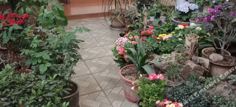 聚欣居民宿图片