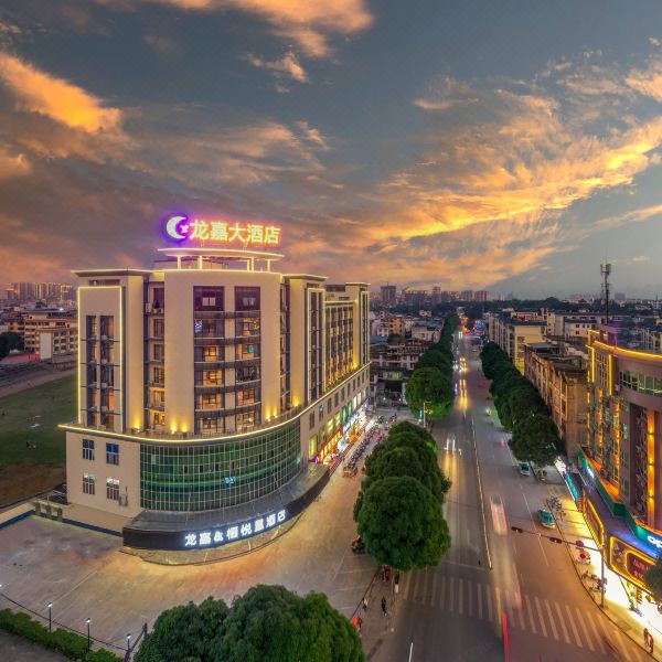 龙州龙嘉大酒店(龙嘉大厦百货超市店)图片
