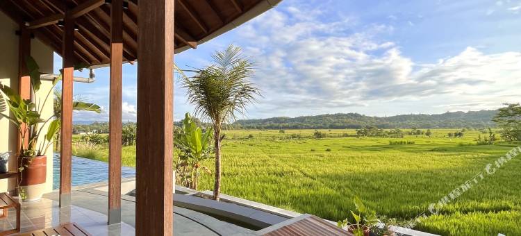 日惹快乐别墅(Boutique Villa Jogja Senang)图片